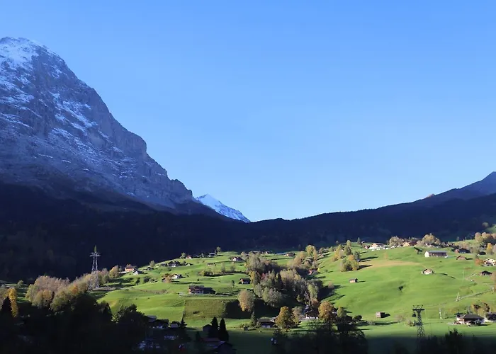 Excellent Flat With A Fantastic View Of The Eiger! Apartment Grindelwald